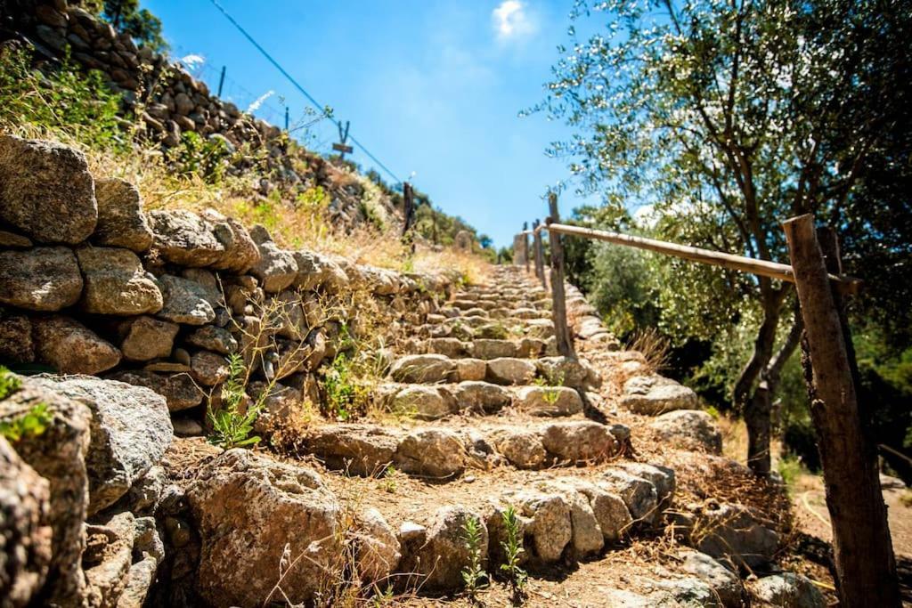 Les Bergeries "Le Figuier" Hotel Omessa Kültér fotó
