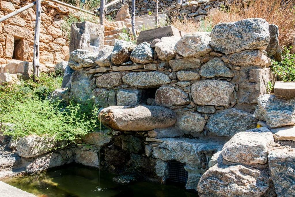 Les Bergeries "Le Figuier" Hotel Omessa Kültér fotó