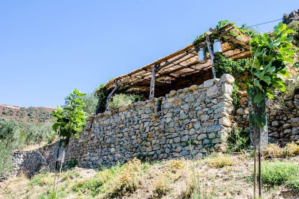 Les Bergeries "Le Figuier" Hotel Omessa Kültér fotó