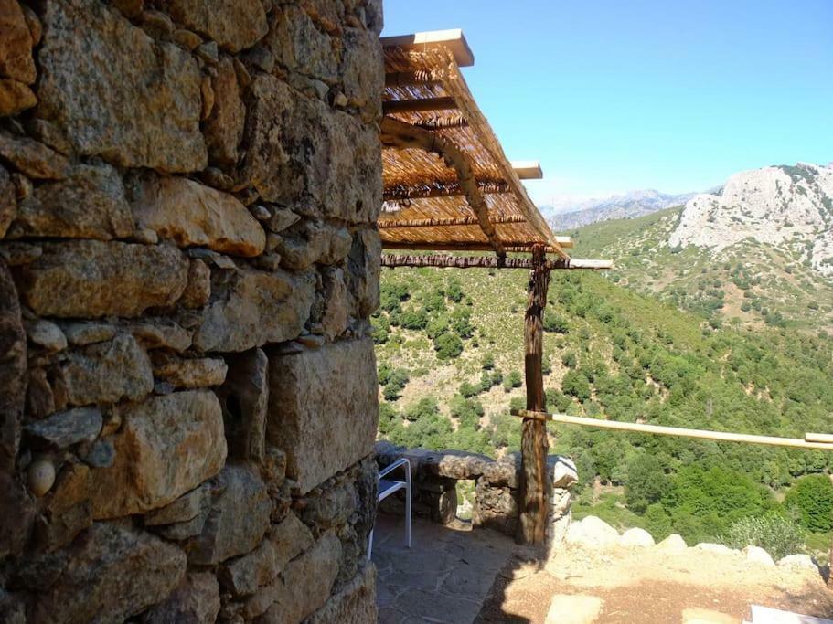 Les Bergeries "Le Figuier" Hotel Omessa Kültér fotó