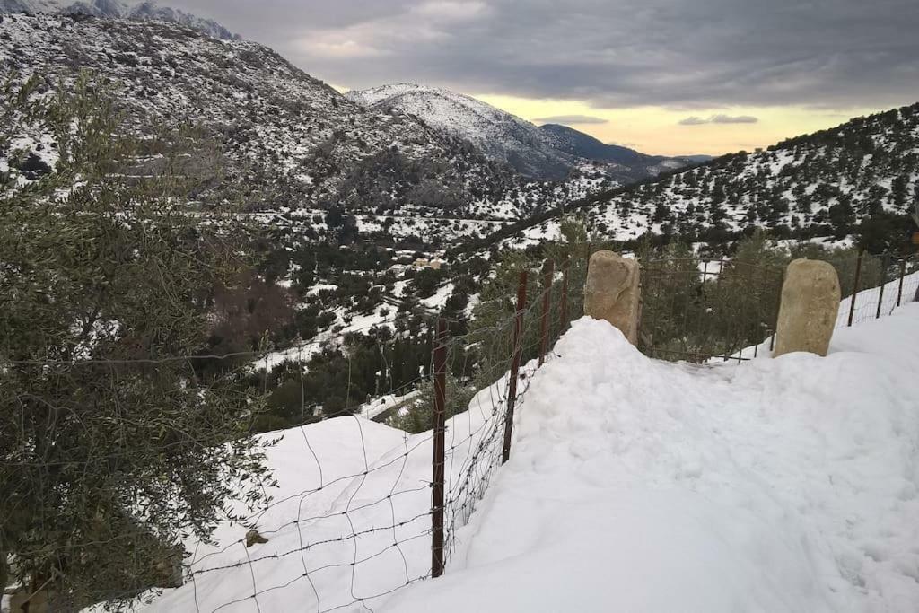 Les Bergeries "Le Figuier" Hotel Omessa Kültér fotó