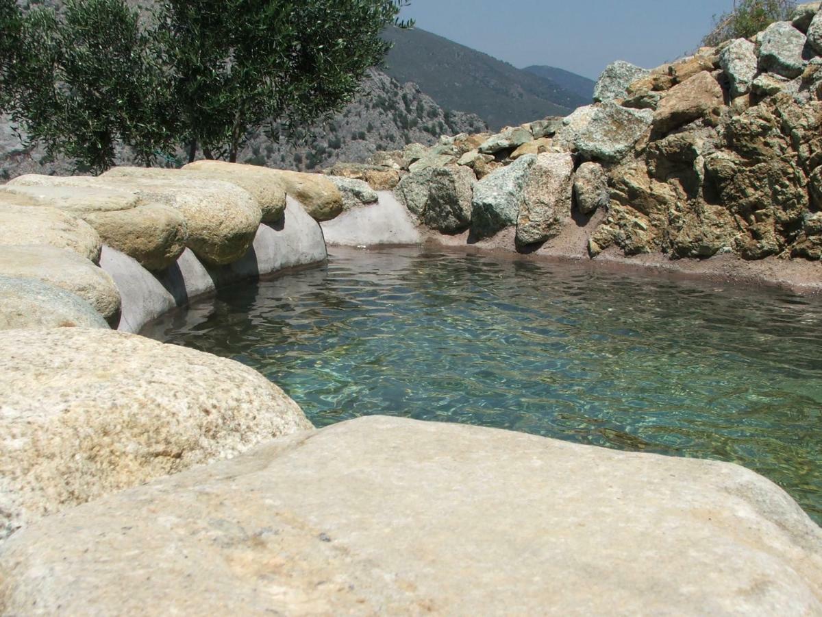 Les Bergeries "Le Figuier" Hotel Omessa Kültér fotó