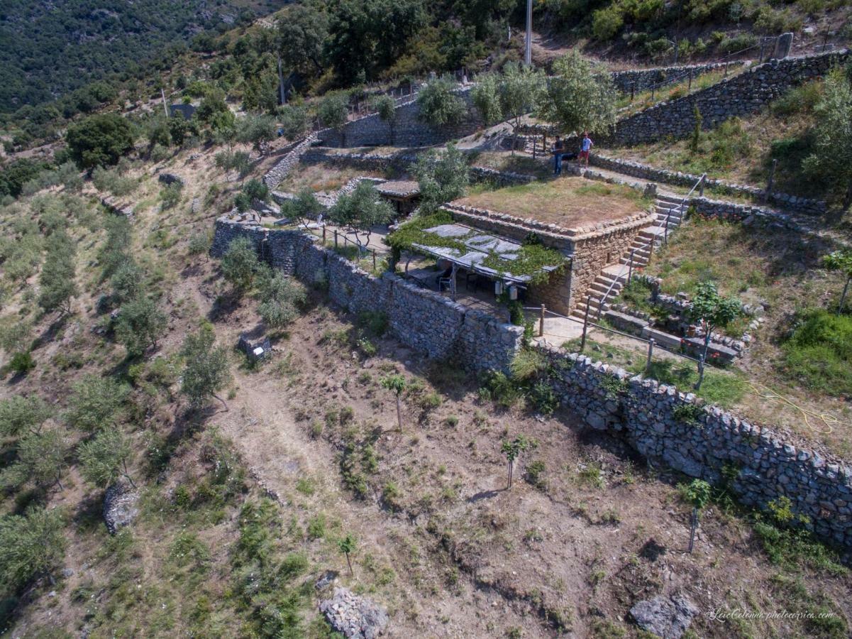 Les Bergeries "Le Figuier" Hotel Omessa Kültér fotó