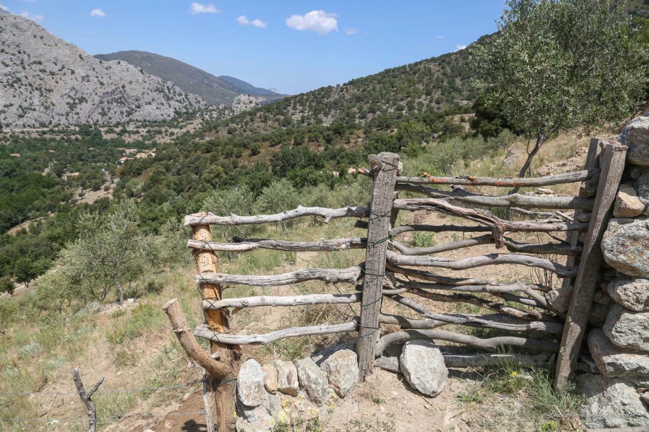 Les Bergeries "Le Figuier" Hotel Omessa Kültér fotó