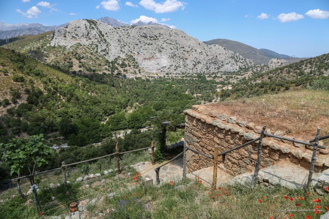 Les Bergeries "Le Figuier" Hotel Omessa Kültér fotó