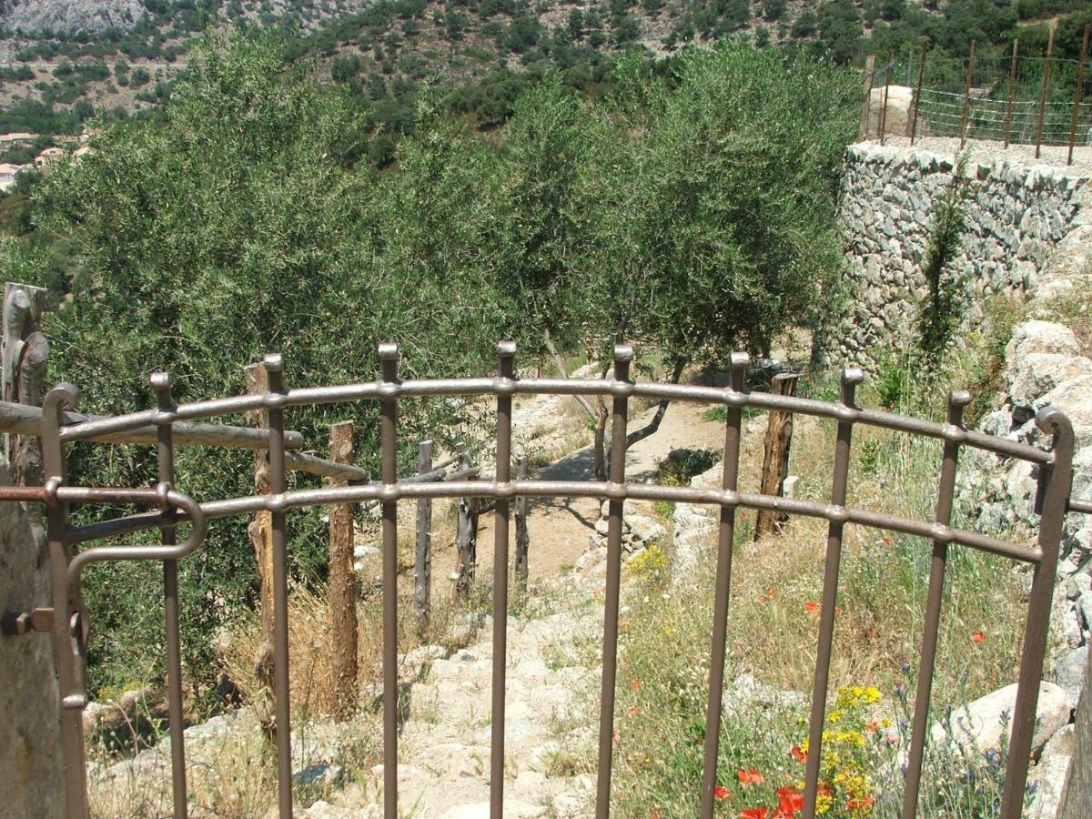 Les Bergeries "Le Figuier" Hotel Omessa Kültér fotó