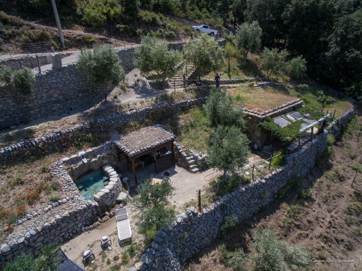 Les Bergeries "Le Figuier" Hotel Omessa Kültér fotó