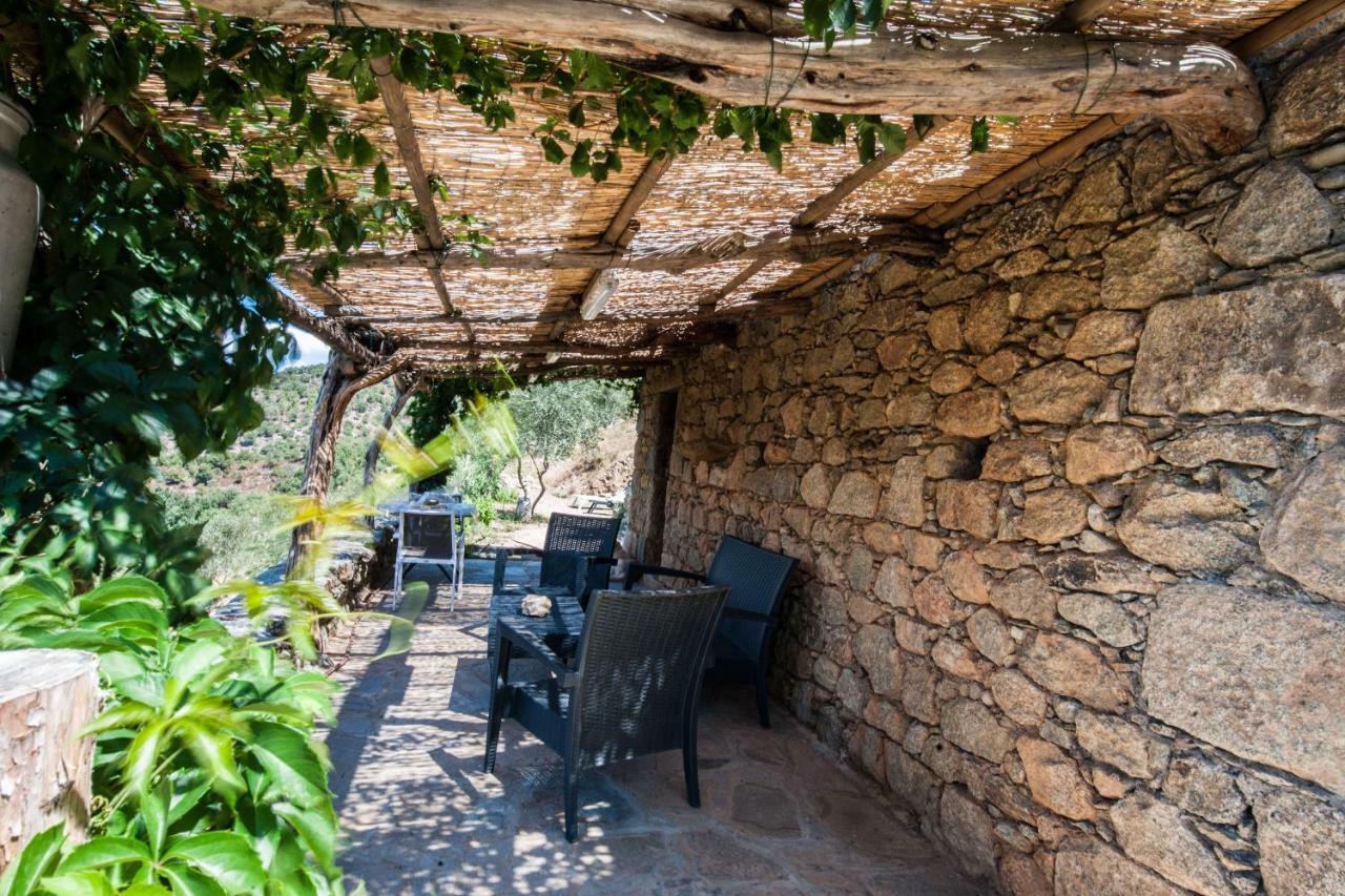 Les Bergeries "Le Figuier" Hotel Omessa Kültér fotó