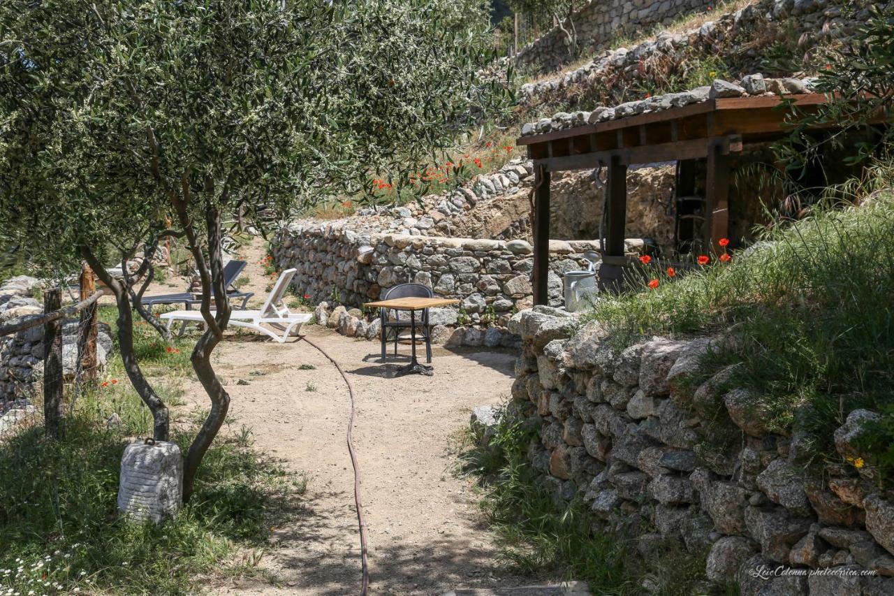 Les Bergeries "Le Figuier" Hotel Omessa Kültér fotó
